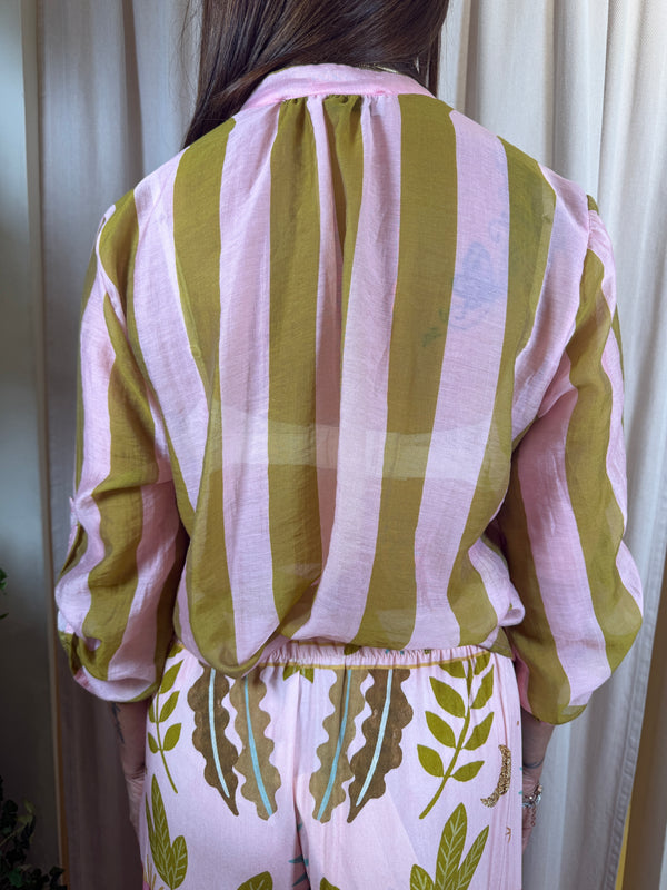 Camicia riga Rosa/OlioCVS-Q422